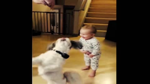 Cute baby copies dog for a treat#shorts