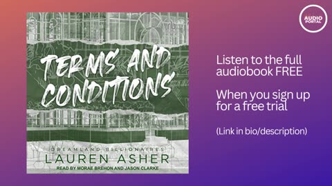 Terms and Conditions Audiobook Summary Lauren Asher