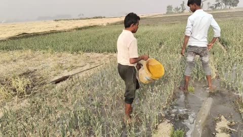 Beautiful life of Indian villagers | Most peaceful vs relaxing life | Wonderful Farming Life