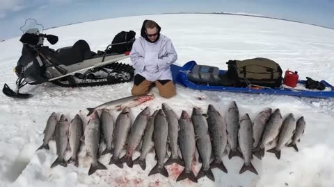 4 Days Camping & Fishing on Arctic Ocean - GIANT Sheefish Catch & Cook Alaska Adventure