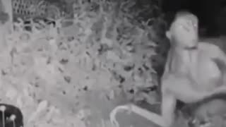 NEW IMAGES OF THE ET THAT APPEARED IN THE BACKYARD IN LAS VEGAS AFTER HIS SHIP CRASHES PART 2