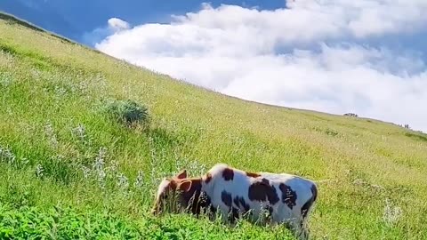 Iran,, gillan, roodbar, mountains