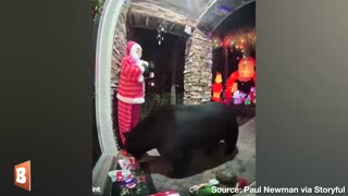 "ALL THE NUGGETS": Bear Steals Chick-fil-A off Family's Porch