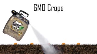 Monsanto: The Company that Owns the World’s Food Supply