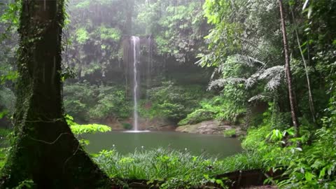 Timeless Calming Relaxing Jungle Waterfalls Rivers Zen Work Study