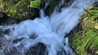 Oregon – Mount Hood – Crossing Lady Creek – 4K