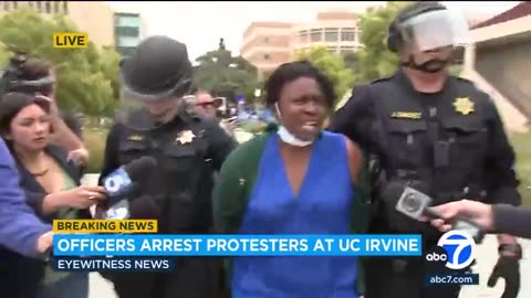 Police Arrest University Of California Professor In Heated Moment