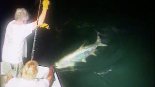 Catching a 165 lb Tarpon!