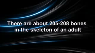 how many bones we have in our skeleton