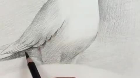 Amazing Pencil Drawing 3D Art Satisfying Drawing pigeon bird