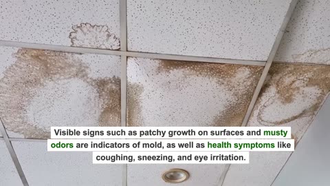 How to Avoid Mold in Your House