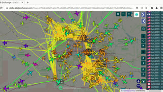 Bird Mafia Utah Invasion Jan 29th 2024 - 1:44pm -