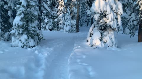 Pre-Sunrise Snow Hiking – Central Oregon – Swampy Lakes Sno-Park – 4K
