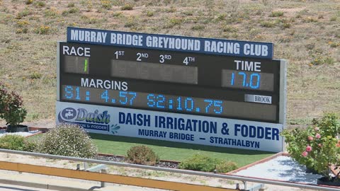 Murray-Bridge-14122021-Race-1