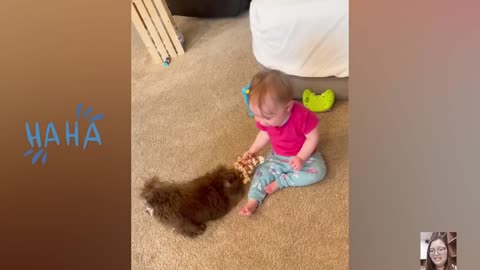 Baby vs animal