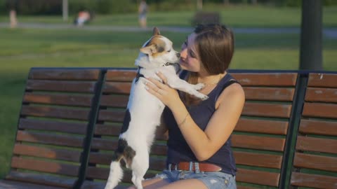 The attractive young girl sitting on a bench with the dog in the park