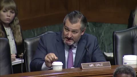 Ted Cruz Calls Out 9th Circuit Nominee For Insults Directed Towards Kavanaugh