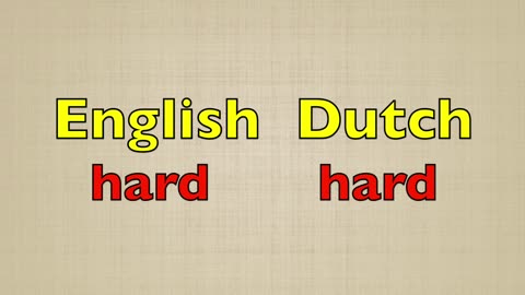 100 English words that are the same or almost the same as in Dutch.