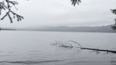 The Fog is Rolling in Over Timothy Lake – Mount Hood – Oregon – 4K