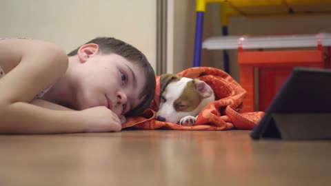 The child and the dog watching cartoons on the tablet