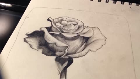 Flower Sketch Timelapse