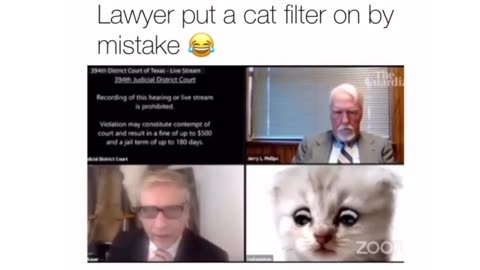 Lawyer Put A Cat Filter On By Mistake!