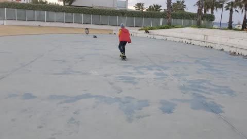 Skateboarding Dog Avoids Collision With Kid