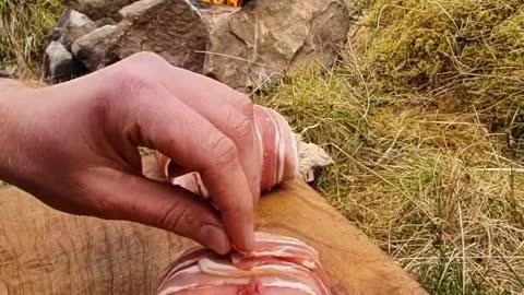 A meal of delicious meat with a few ingredients cooked in the wild