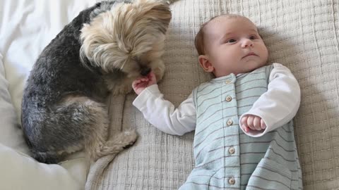 Dog Sitting Beside a Baby
