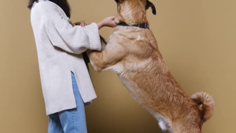 Woman Training a Dog