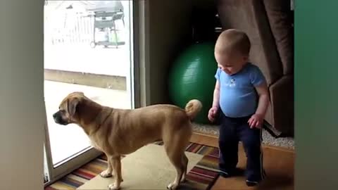 Cute Babies playing with dogs