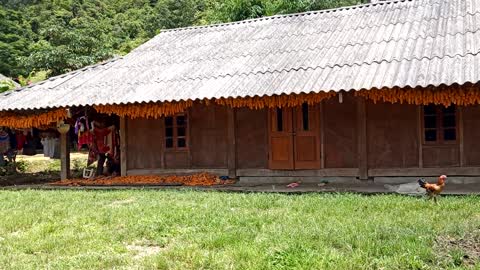 traditional houses of the Hmong people.