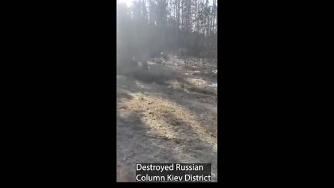 Russian Ukraine War Footage Part 4