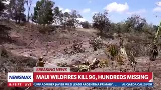 Children Sent Home From School on Day of Maui Fires for High Winds, What Happened to Them_