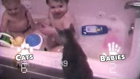 Cats Vs. Babies Funny moments 🐱