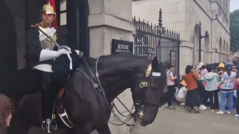 Woman gets bit by a horse of the Royal Guards