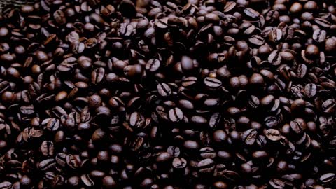 The best types of coffee beans