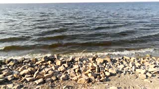 Fresh Morning Summer In Qarun Lake Egypt