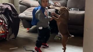 Boy Dances With His Dog