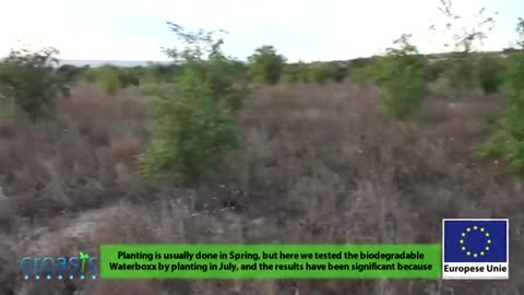 Reforestation anti-desertification in Los Monegros Desert Zaragoza Spain with Groasis