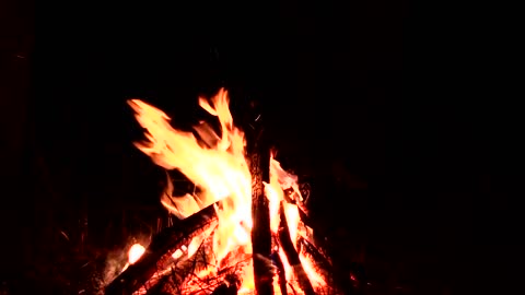 Calming Camp Fire Sounds To Fall Asleep To, Sound of Crickets