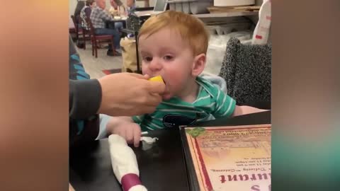 Best Videos of Cute Babies Eating Lemons for the first tome - Try Not to laugh