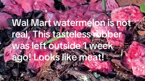 Wal Mart Watermelon?