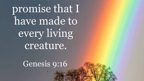 Genesis 9:16