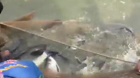 Fishing technique