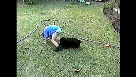 Determined Dog Steals Toddler's Shorts Right Off Him