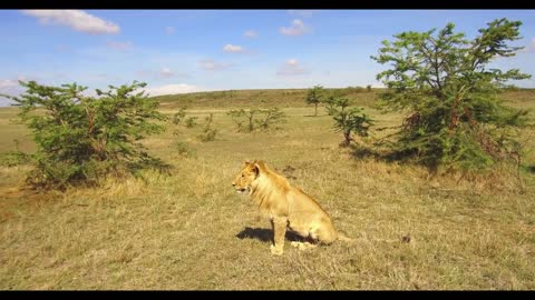 The scenery on the grassland