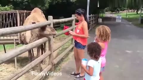 Funny Animals Videos | Funny Girl Video 2021 ||