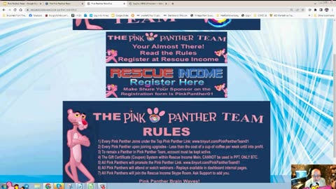 The Pink Panther Team at Rescue Income Webinar 27th Nov 2023