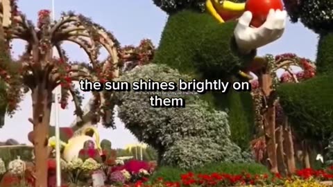 Dubai Miracle Garden